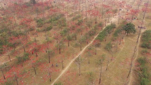 Aerial view of people in a countryside field, Dhaka, Bangladesh.