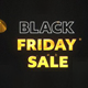 Black Friday Sale Social Media Posts - VideoHive Item for Sale