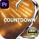 Luxury Celebration Countdown - VideoHive Item for Sale