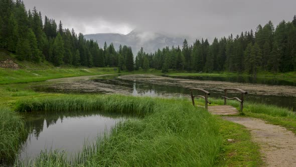 Cloudy Evening on a Forest Pond