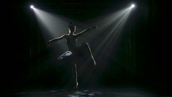 Silhouette of a Graceful Ballerina in a Chic Image of a Black Swan. Classical Ballet Choreography