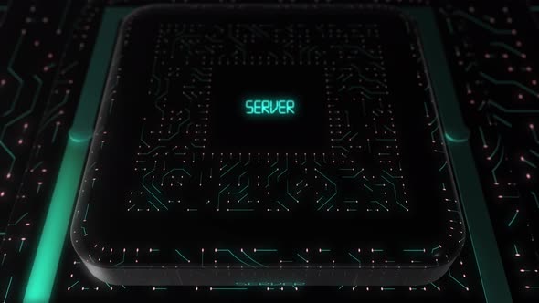 Digital Circuit Board Server