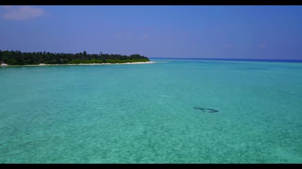 Aerial abstract of beautiful island beach trip by aqua blue lagoon with clean sandy background of jo