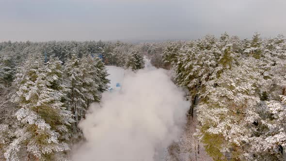 Blurred Thick Clouds of Smoke Daily Forest