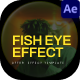 Fish Eye After Effect - VideoHive Item for Sale