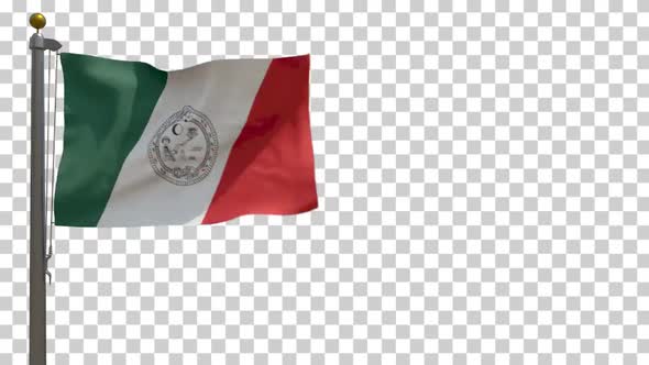 Solidaridad Flag (Mexico) on Flagpole with Alpha Channel - 4K