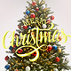 Christmas Message - VideoHive Item for Sale
