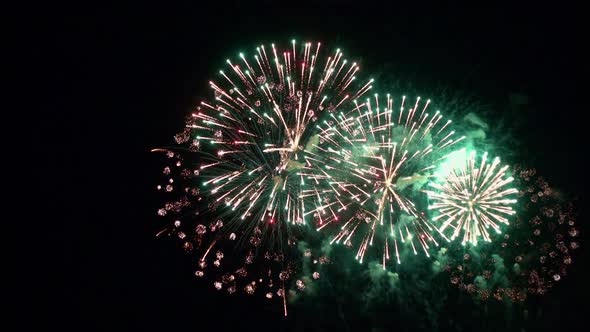 Colorful Firework display at night on sky background alt