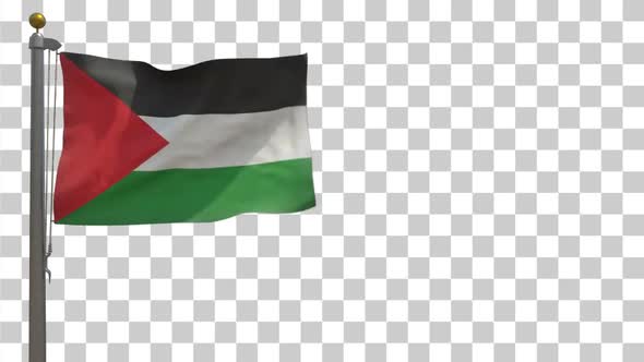 Palestine Flag on Flagpole with Alpha Channel