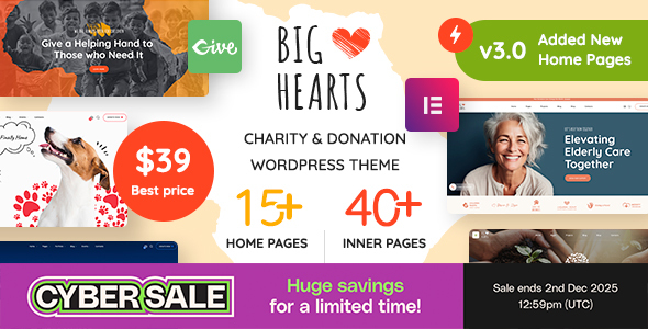 BigHearts - Charity & Donation WordPress Theme