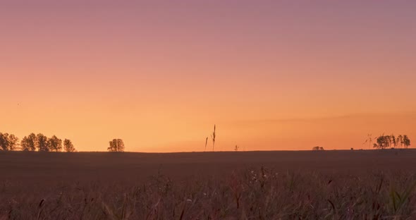 Flat Hill Meadow Timelapse at the Summer Sunrise Time. Wild Nature and Rural Grass Field. Sun Rays