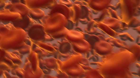 Close up of the red blood cells flowing in the artery. Life in the blood vessel.