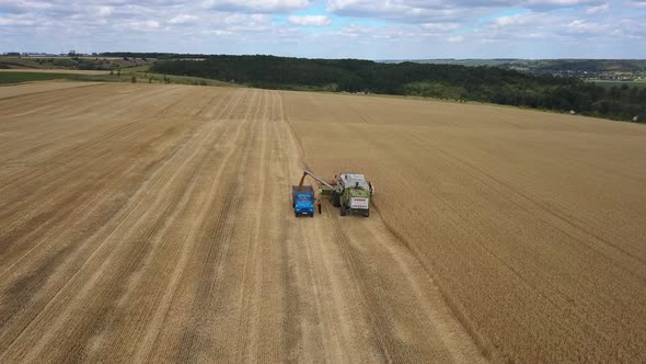 Aerial view: Flying above combine harvester unloading wheat in trailer