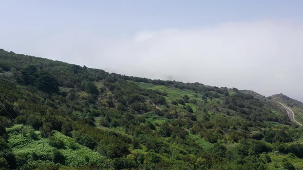 Aerial View of Mountain Slopes Covered with Green Vegetation. Canary Islands, Spain