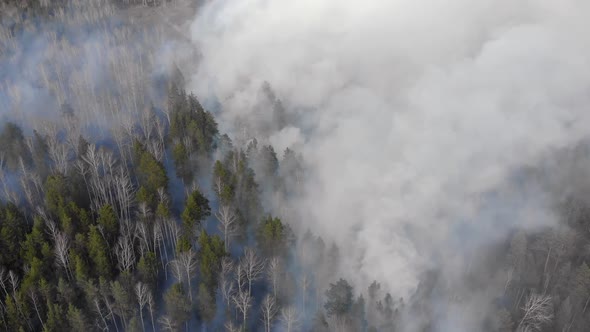 Air Pollution Caused By Wildfires Clouds of Smoke Above the Burning Field Aerial Footage