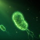 Bacteria 8 - VideoHive Item for Sale