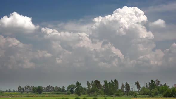 Fluffy Clouds on Agricultural Fields