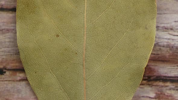 Dried bay leaves texture