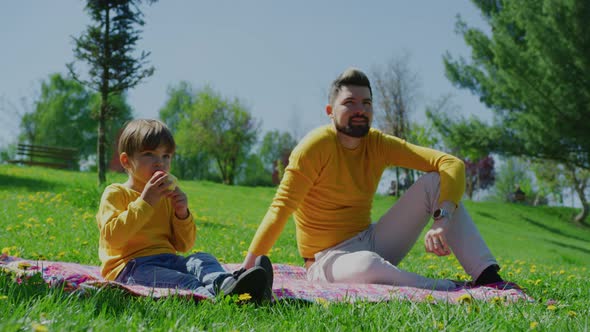 Father and son on a picnic