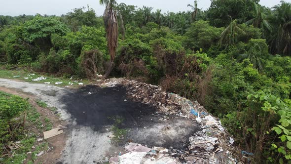 Dump site near tree