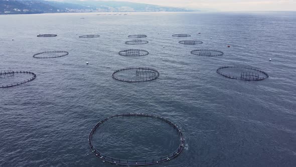 Aquaculture Fish Farm in Turkey Providing Farmed Fish Produce for Market