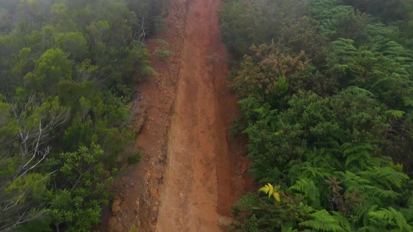 Rising Along the Slope of the Mountain at Cloud Level