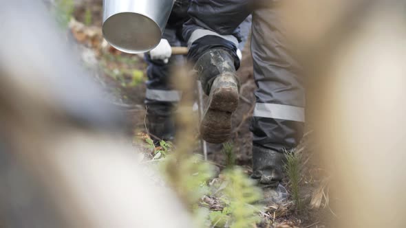 Planting Forests Manually. Reforestation on the Planet. Working Process of Planting a Tree. Planting