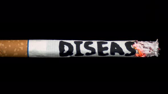 A Cigarette Smolders with the Word "Disease". Cigarette on a Black Isolated Background. Health