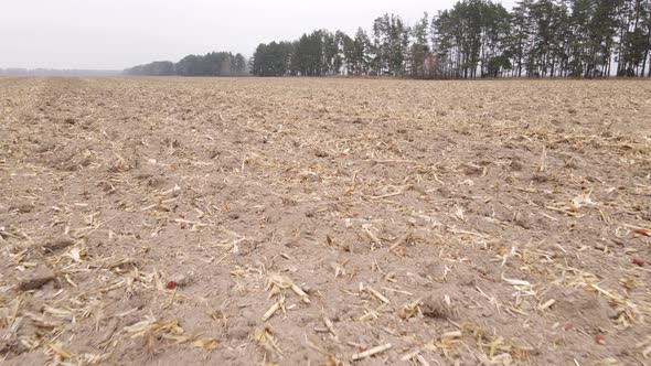 Land in a Plowed Field in Autumn