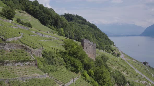 Aerial shot of Medieval tower in Lavaux vineyard, SwitzerlandLocation name: "Tour de Marsens"