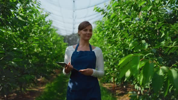 Woman Farmer with Tablet Monitoring Cultivation of Green Organic Trees in Farm