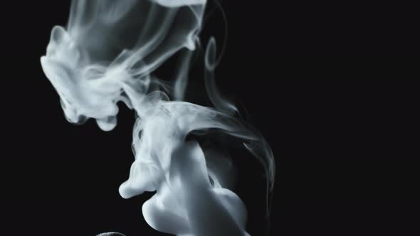 Smoke Flowing Tranquilly Isolated on Black Background