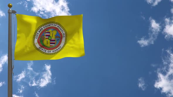 Honolulu City Flag Hawaii (Usa) On Flagpole