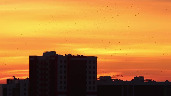 Morning Bright Sky of Red Orange and Yellow Shades - Silhouettes of Buildings