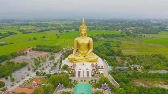 Aerial view of the Giant Golden Buddha in Wat Muang in Ang Thong district with paddy rice field