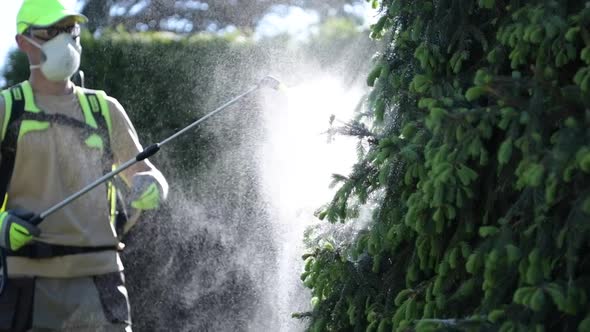 Spring Time Insecticide Garden Trees. 