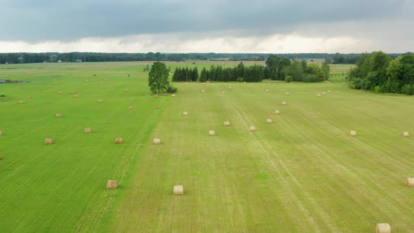 Countryside landscape flight above many round hay rolls in green grass farmland on cloudy sky day, o