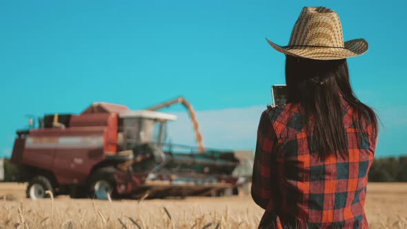 Farmer Woman with Tablet Working in Wheat Field During Harvesting By a Combine, She Controls the