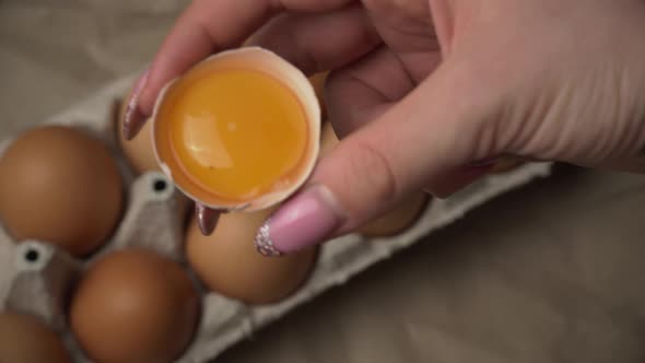 Female Hand Holds a Broken Chicken Egg