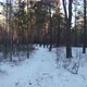 Winter Forest Trail - VideoHive Item for Sale