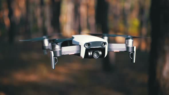 Drone with a Camera Hovers in the Air Above the Ground in the Forest. Slow Motion.