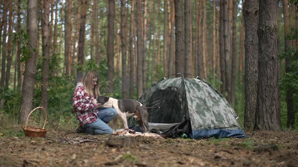 Wide Shot Forest with Joyful Woman Talking to Dog Falling Down Laughing on the Left