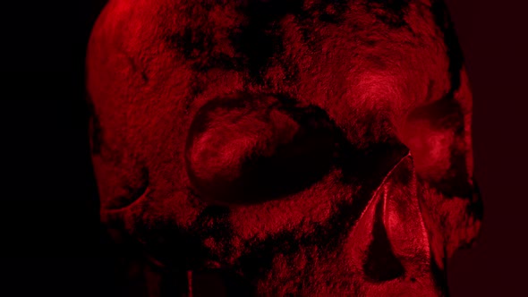 Human Texture Skull Rotates alt