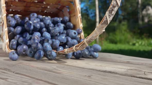 Blueberries Fall on Table and Roll Towards Camera