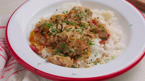 Chicken Stew with Tomato Sauce and Rise in Plate