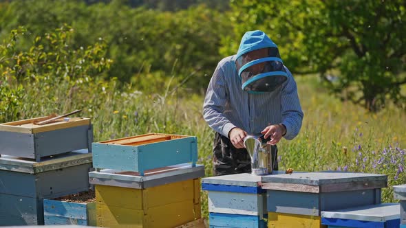Apiarist near hives in nature. Beekeeper in modern protective hat looking after bees in beehive. 
