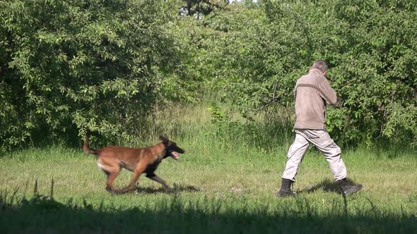 Dog Detected Something Interesting in Man's Hands.