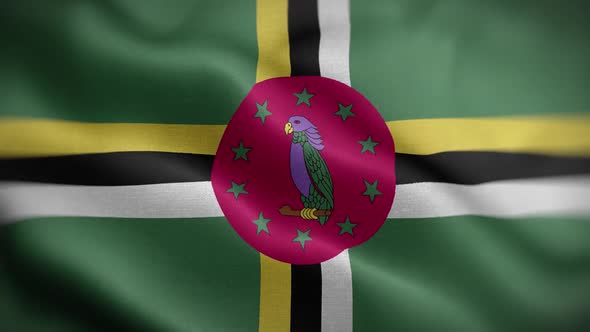 Dominica Flag Textured Waving Front Background HD
