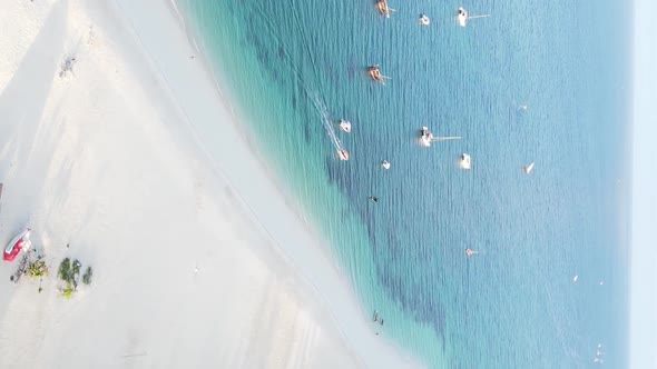 Vertical Video of the Beach on Zanzibar Island Tanzania Aerial View