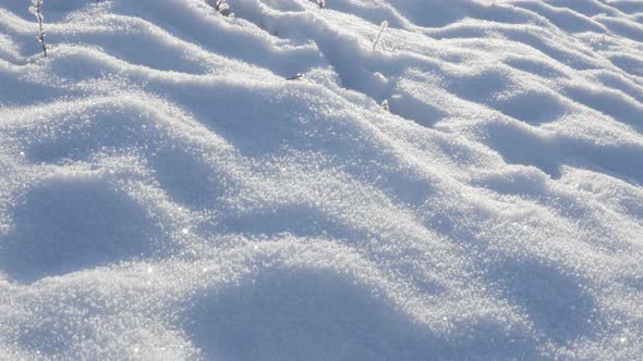 Snow covering hill and sun rays above 4K 2160p UHD video - First snow covering plants outdoor natura